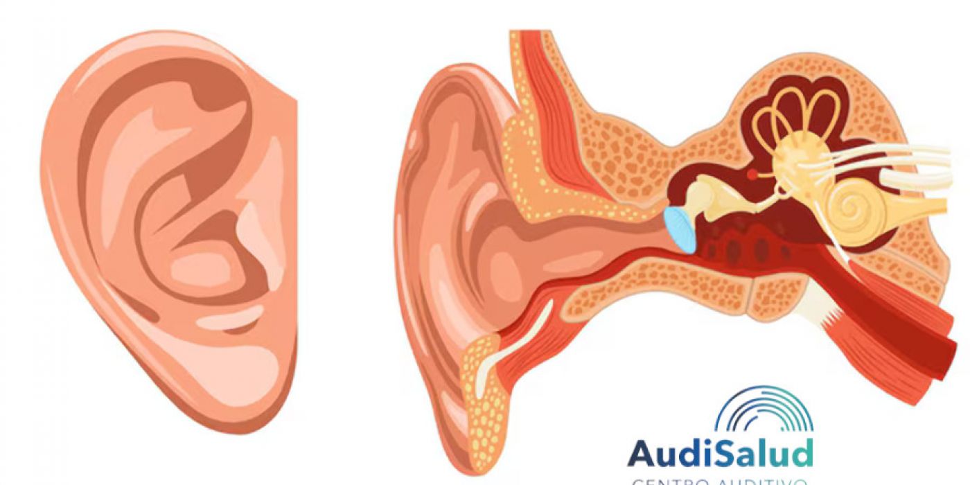 La solución a tu pérdida auditiva en AudiSalud